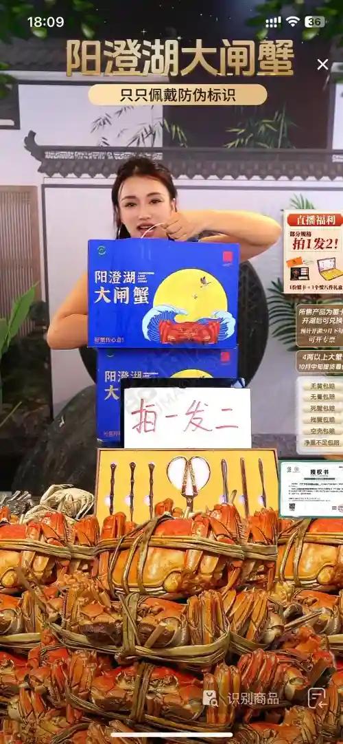 被这个阳澄湖大闸蟹直播间的氛围拿捏了
