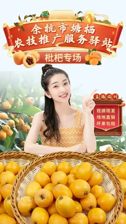 直播间就该这么设计枇杷专场